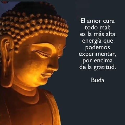 Namaste_Mandala's tweet photo. https://t.co/b9fQ4MZokA