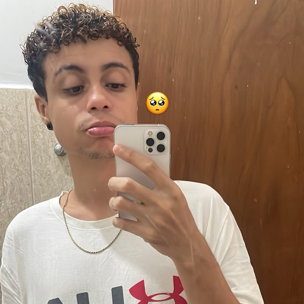 willow tweet media