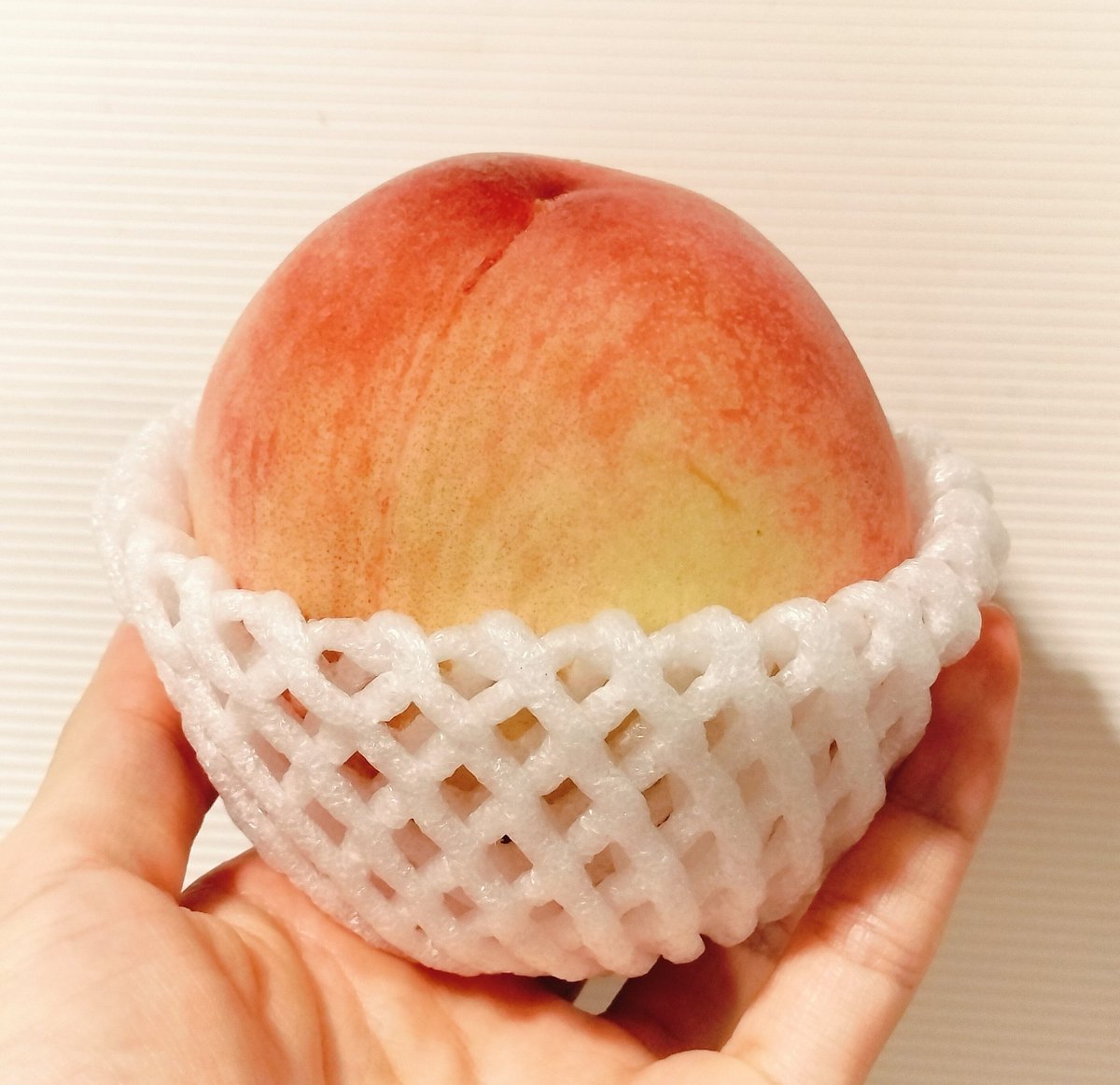 p_iskw's tweet photo. Rejectの悲しみは桃で解決 https://t.co/QpCS0jt96h