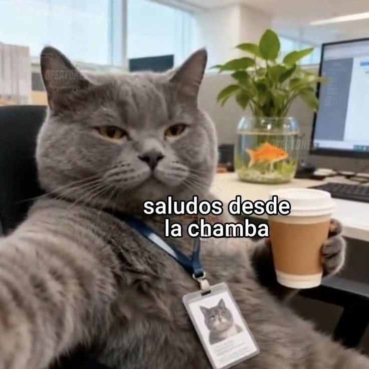 Pensamientos tweet media