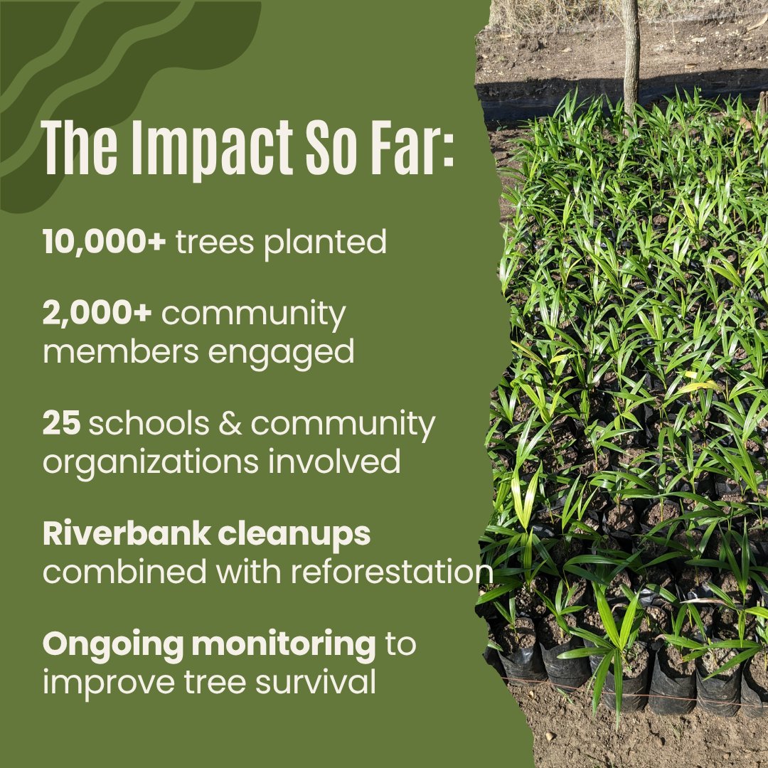 WomenfulVoice's tweet photo. Through our Reforestation Program, Womenful Voice is restoring the Massacre River by planting trees, reducing soil erosion, helping prevent flood risks, and strengthening climate resilience.
Support the cause and help protect rivers, ecosystems, and communities.
#Reforestation https://t.co/dhGcekUG5o
