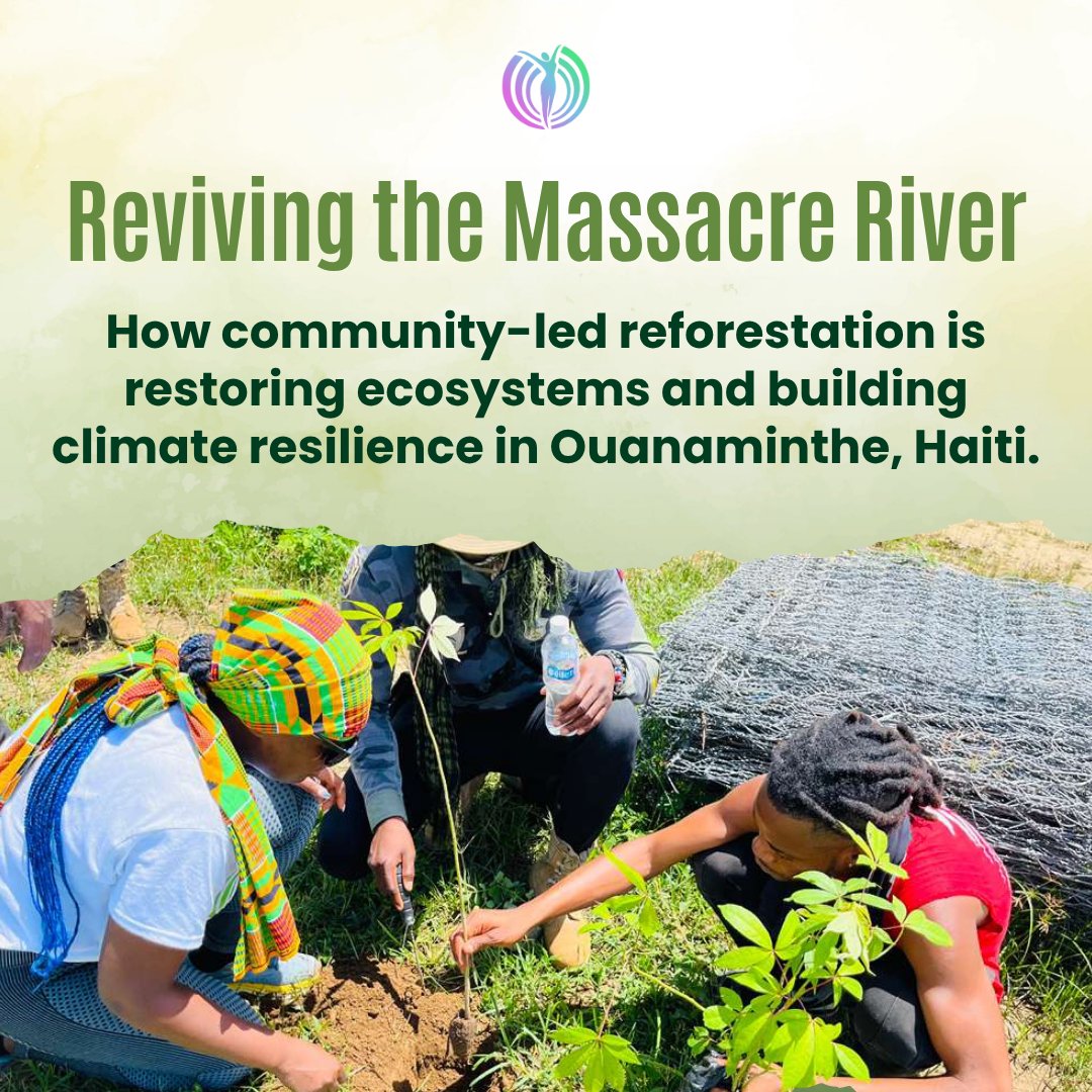 WomenfulVoice's tweet photo. Through our Reforestation Program, Womenful Voice is restoring the Massacre River by planting trees, reducing soil erosion, helping prevent flood risks, and strengthening climate resilience.
Support the cause and help protect rivers, ecosystems, and communities.
#Reforestation https://t.co/dhGcekUG5o