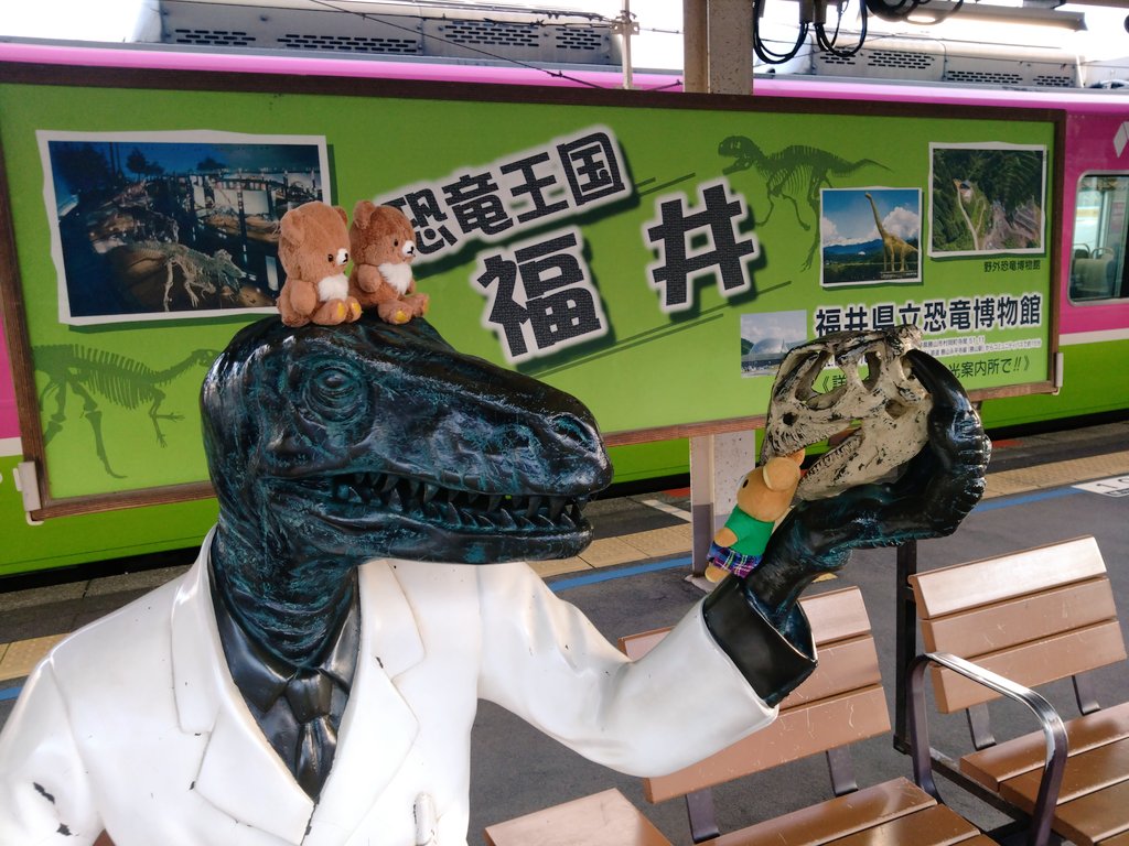 prrppn's tweet photo. 小🐻「痛いっ！」
目が覚めたかな。
広い広い北信越地区をカバーするフリーきっぷ
を使い上越へ🐻🐟️🐬
敦賀から上越往復でも破格の2,950円！
もちろん普通列車にしか乗れず約6時間
かかりますが😓
敦賀5:32発の福井方面の一番列車に乗り
途中乗り継ぎがあまり良くなく
目的地直江津到着は12:04です。 https://t.co/SIpDcs1klW