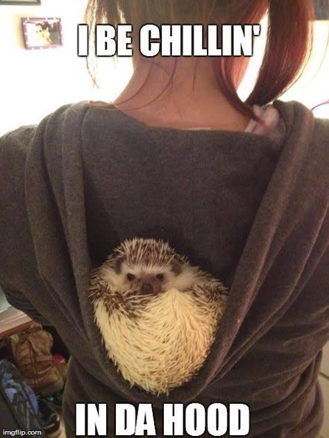 HedgeOnRH's tweet photo. @rasmr_eth https://t.co/CUui3Dpsxr