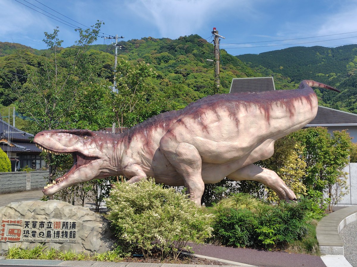 Shosukeishiidon's tweet photo. @eUbgCdbHYPCLY2Q ありがとうございます😊

御所浦の恐竜の島博物館の玄関前には、大きなティラノサウルスがいますよ🙌🙌 https://t.co/KIVWD2gYRM