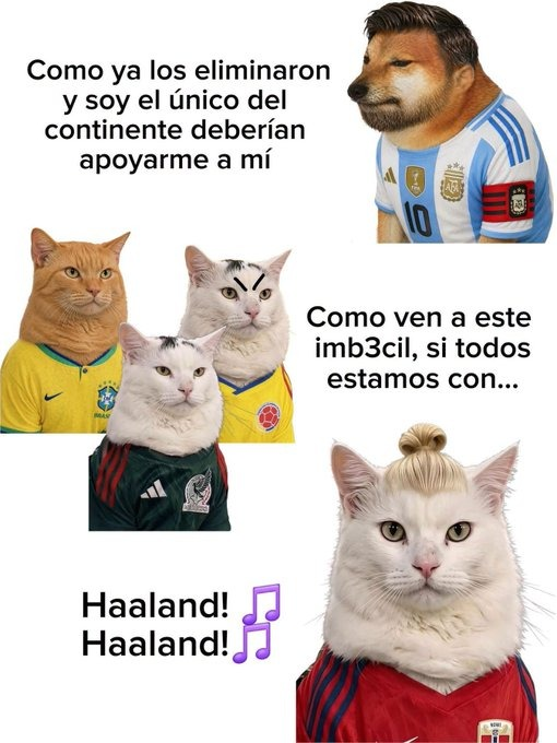 pgredondo's tweet photo. @Erling Haaland Haaland!!!!! https://t.co/pudNcQYmPV