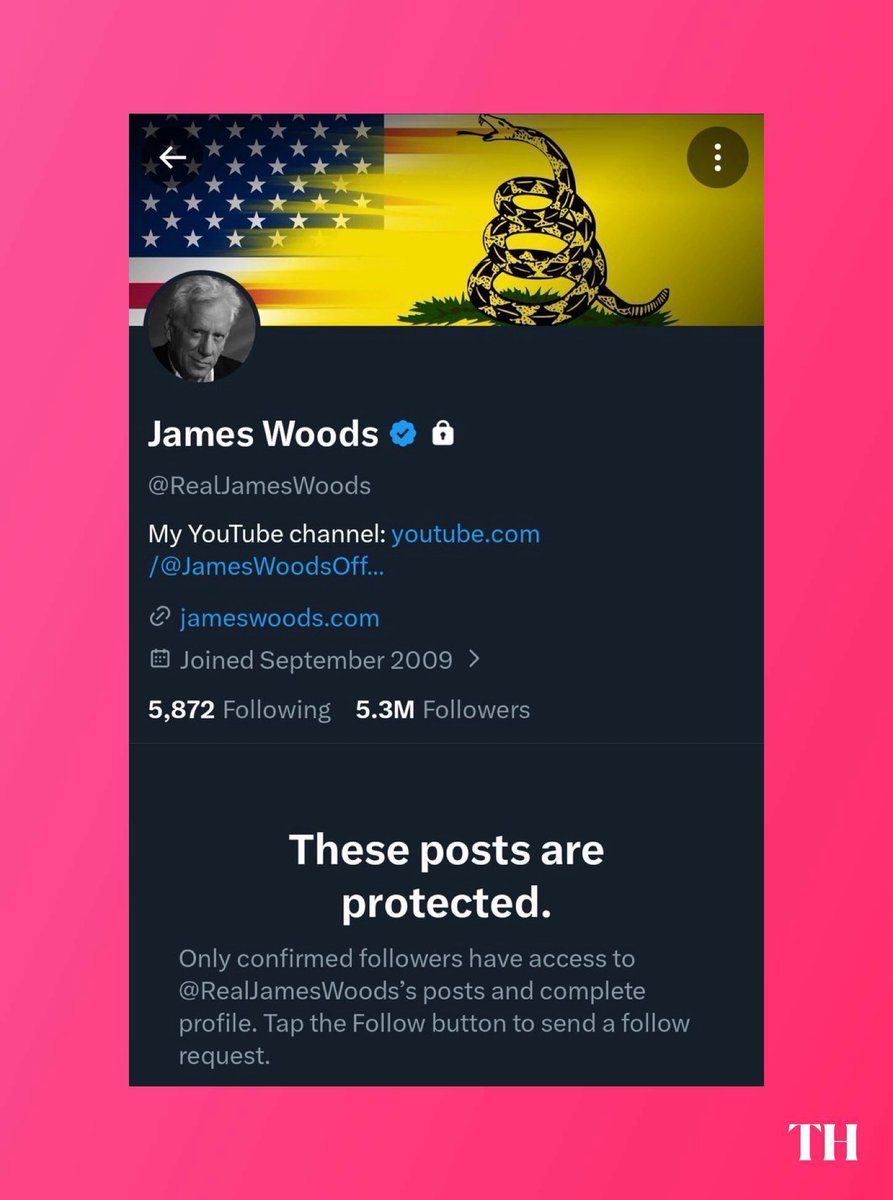 ToonHive's tweet photo. James Woods, best known as the voice of Hades in ‘Hercules’ and the Kingdom Hearts series, has made his Twitter/X account private after being accused of attempting to bring a 16-year-old onto a private jet. https://t.co/HTtOVa4Mez