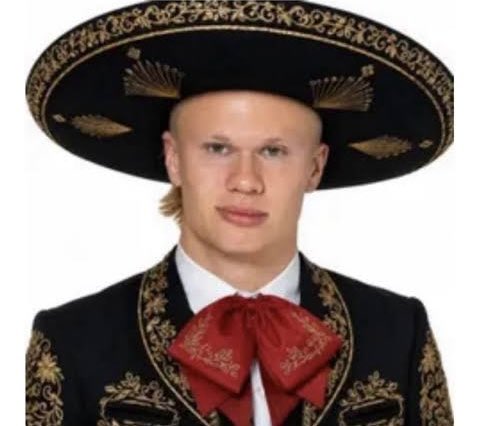 Fercho_UwU's tweet photo. @Rubiu5 Como soy Mexicano tengo que apoyar a mis hermanos que aún hablan mi idioma asi que decido apoyar a Noruega https://t.co/Cyljg8qhaK