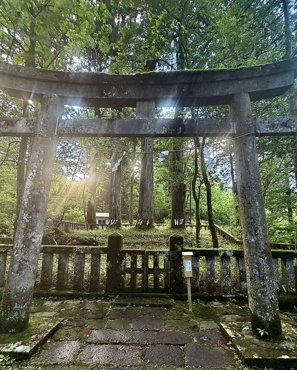 nikunick2929's tweet photo. 夕暮れ時の瀧尾神社

田心姫命が姿を現したと伝わる
三本杉に優しい光が降り注いでいました

この神聖な光を
そっとお福分けいたします🙏

皆様に良いことが
山ほど起こりますように✨

#お福分け #瀧尾神社 https://t.co/7UsOFopfjp