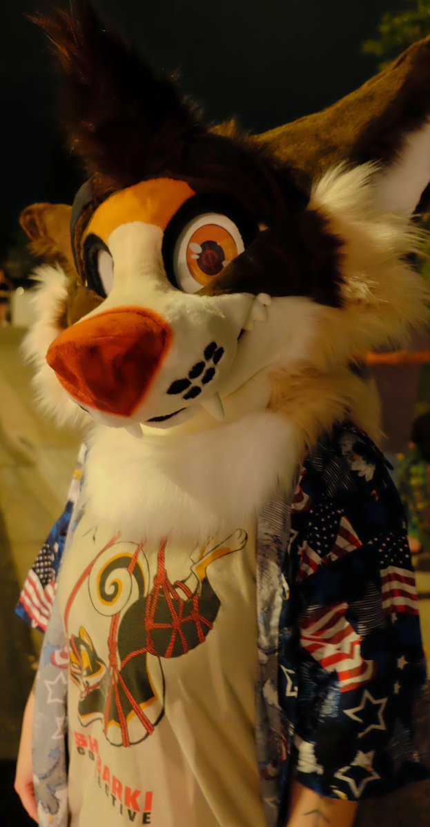 Archie 🔜 BLFC tweet media