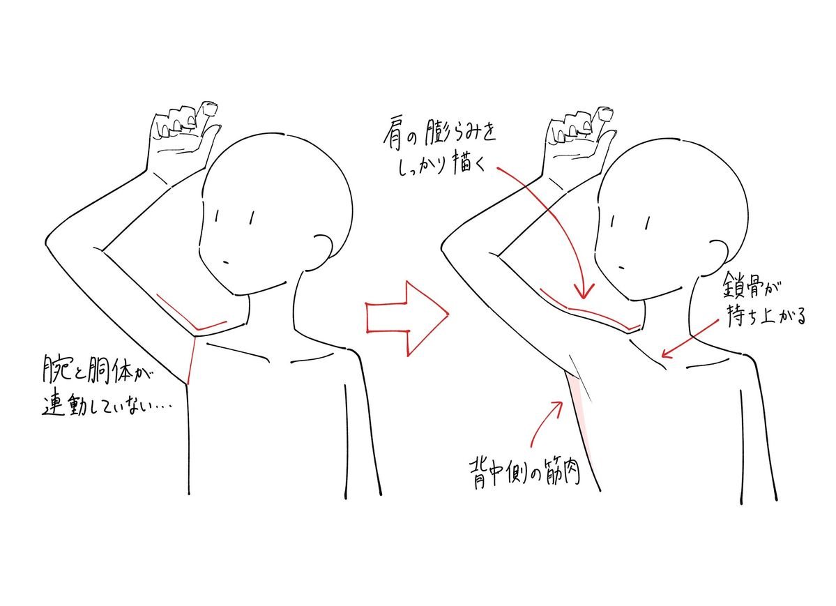 fznutri's tweet photo. Don’t disconnect the arm from the torso, even if they exist. https://t.co/s3rtLpLaxb
