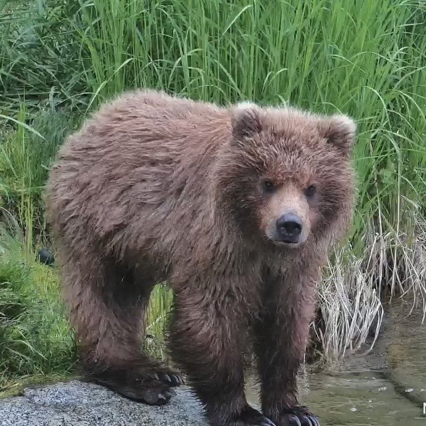 exploreorg's tweet photo. Fan cam photo of the day. https://t.co/OkxCGiEBD2