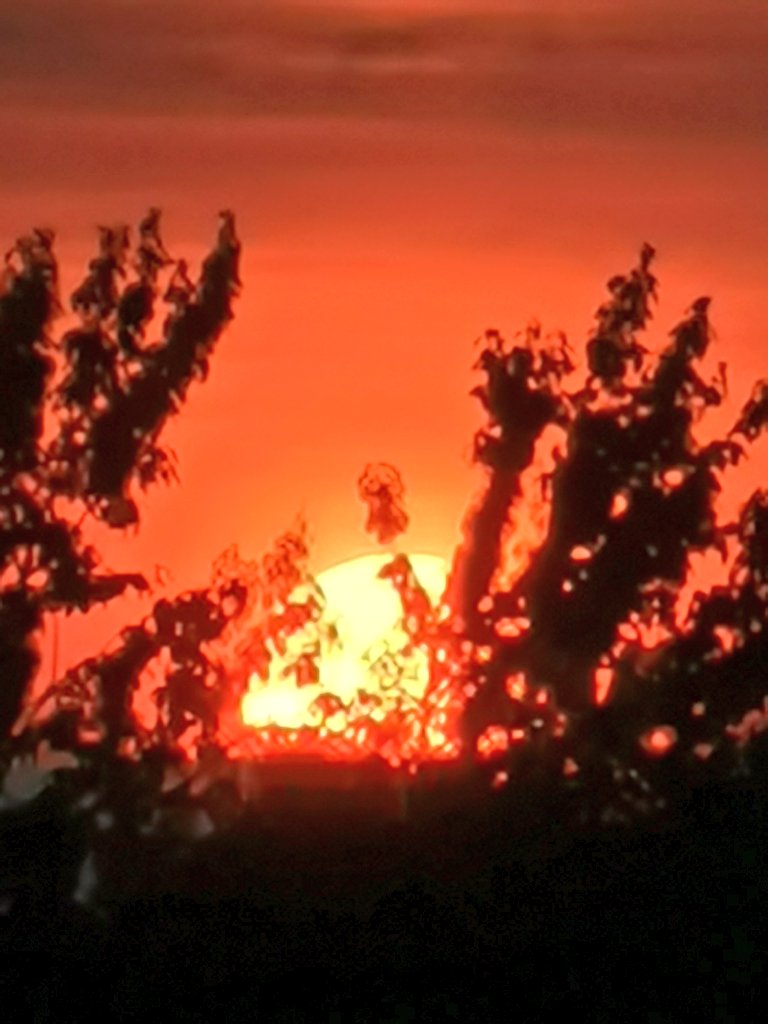 LusamzaH's tweet photo. Sunset tonight from Kobi's late evening walk. https://t.co/KwtHlONj9w