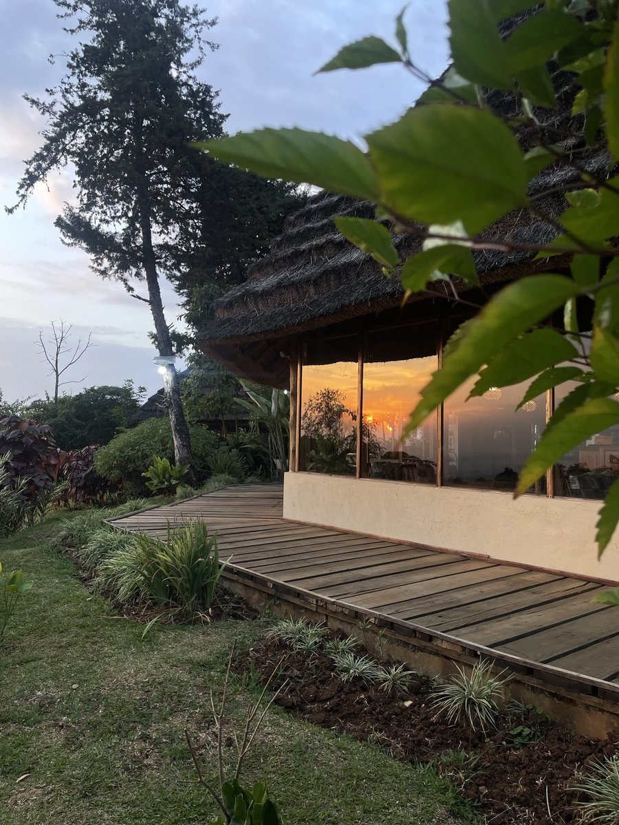 thecoffeeguyug's tweet photo. Scrolling is literally social work for earth because i see alot of ads and sales campaigns all my 2hours a day. Where do I get paid for scrolling? And taking pictures of sunsets? https://t.co/JbaI5Zu94L