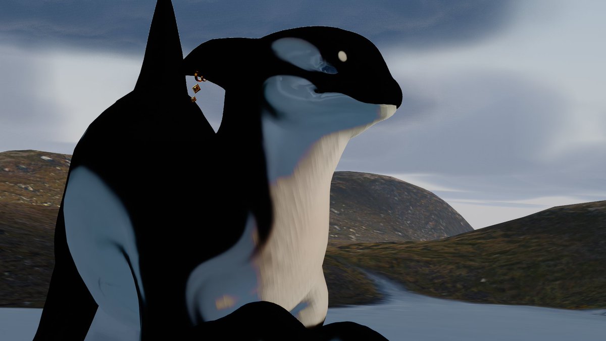 MeemouVR's tweet photo. My personal and first heavy modification, my sona Orrkha! (Yes very funny i know), made a showcase for her! She'll not be for sale, but i am open to making alternative versions for commissioners. 

Her texture was done entirely on blender, as practice.
#vrchat #VRC #Orca https://t.co/5GVM9abGKa