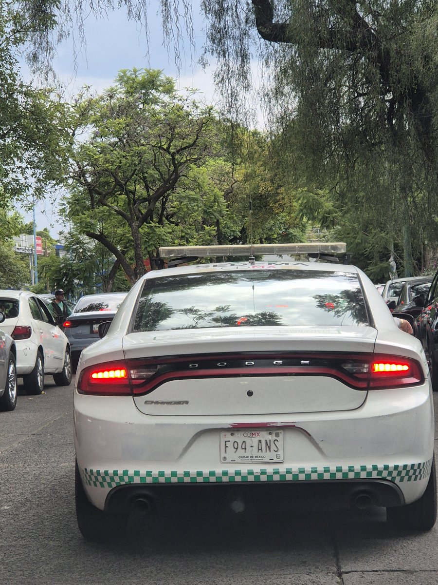 Rutileando's tweet photo. @UCS_GCDMX una patrulla de SEDEMA puede portad placas de auto particular? @SEDEMA_CDMX duda https://t.co/fdqax7sJE7