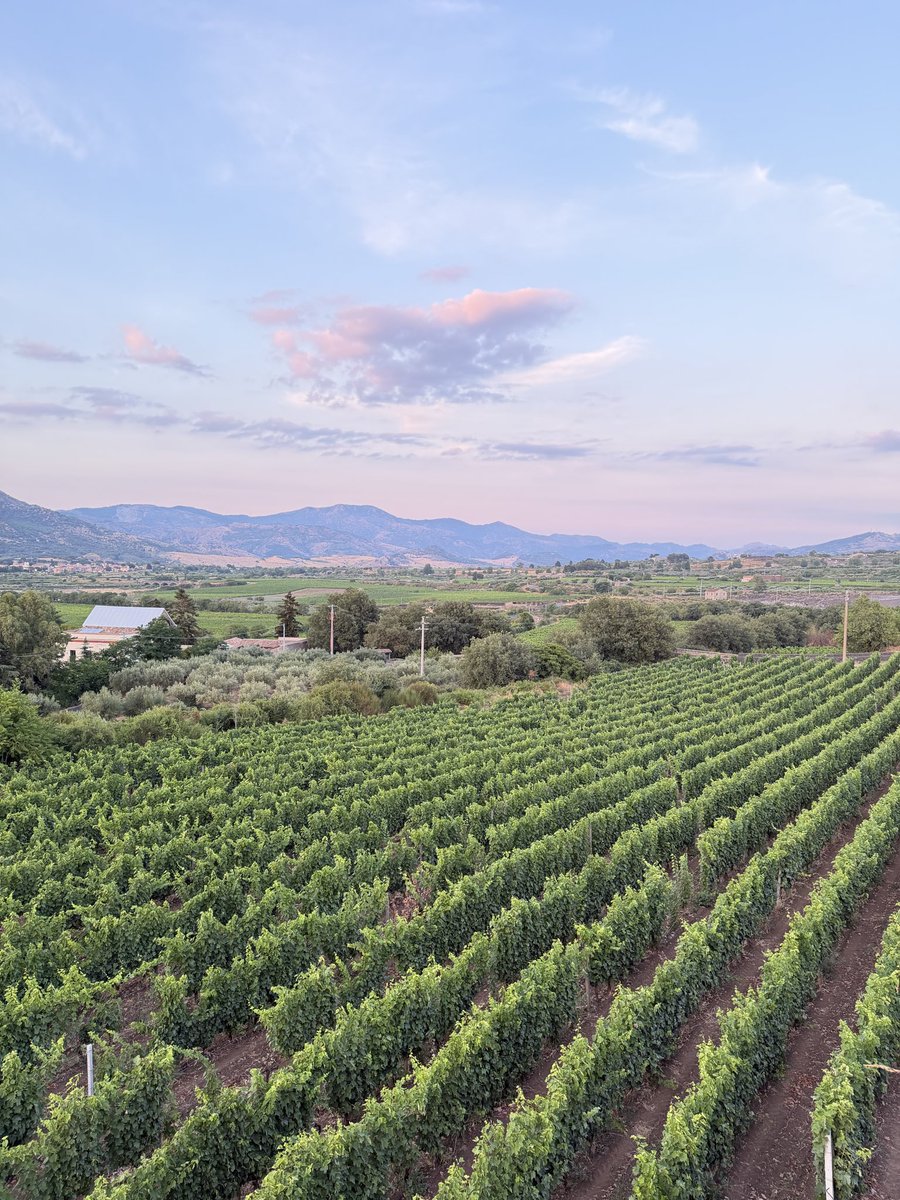 samuelerunner's tweet photo. Sicily #luglio #sicilia #holidays https://t.co/9I1CZ7a958
