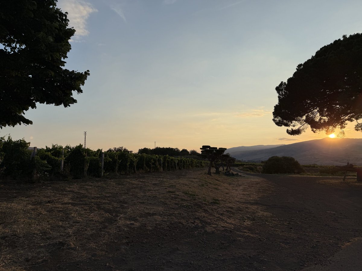 samuelerunner's tweet photo. Sicily #luglio #sicilia #holidays https://t.co/9I1CZ7a958
