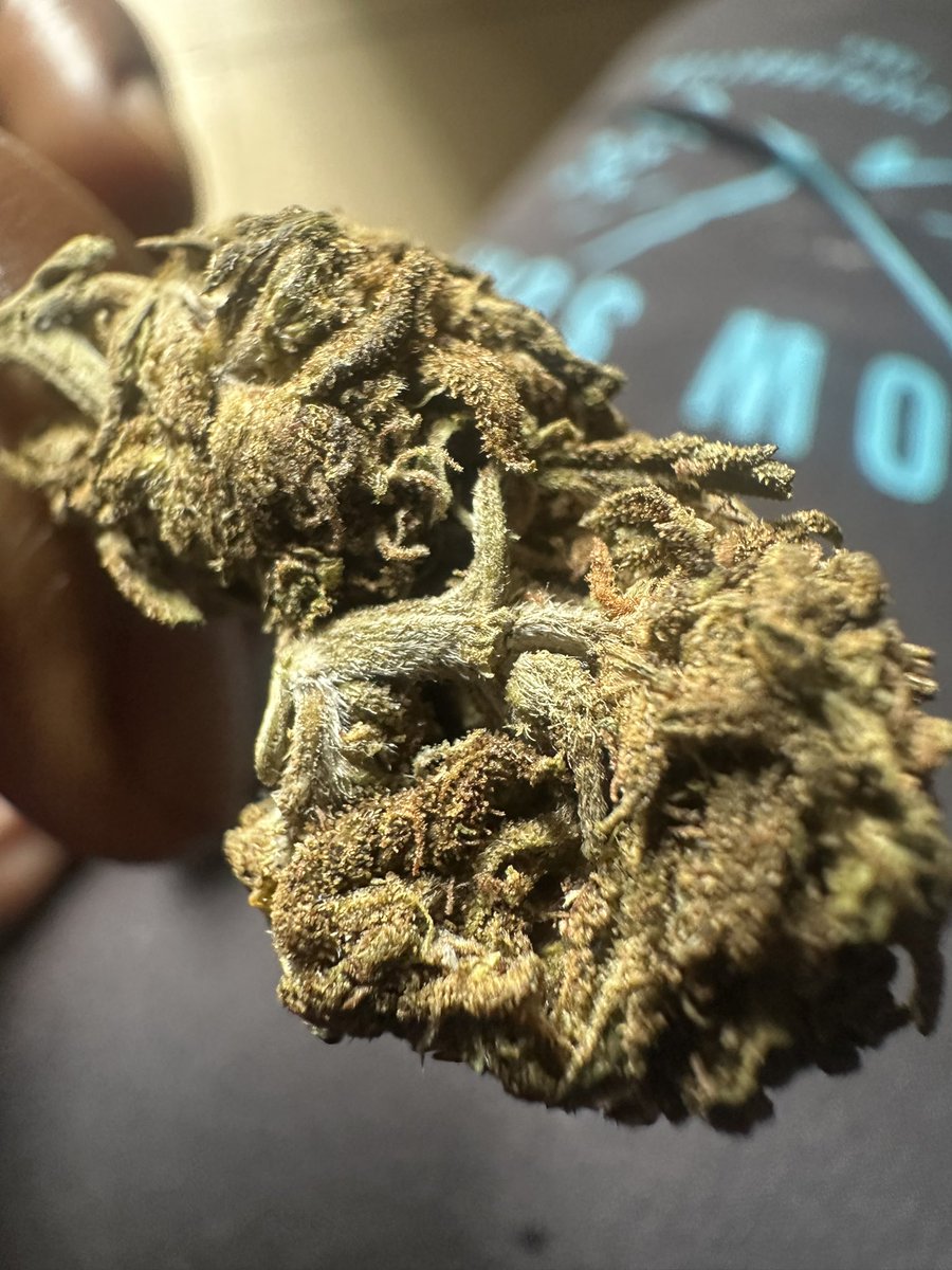 richsammycarter's tweet photo. @HighkushSmoke All Na Scottish https://t.co/VDwLM6Bxno