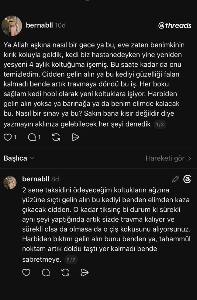 askvemeowmeo's tweet photo. bu kediyi kurtarabilecek biri var mı? sanırım istanbul’da yaşıyor. https://t.co/mI7qXwn5lU