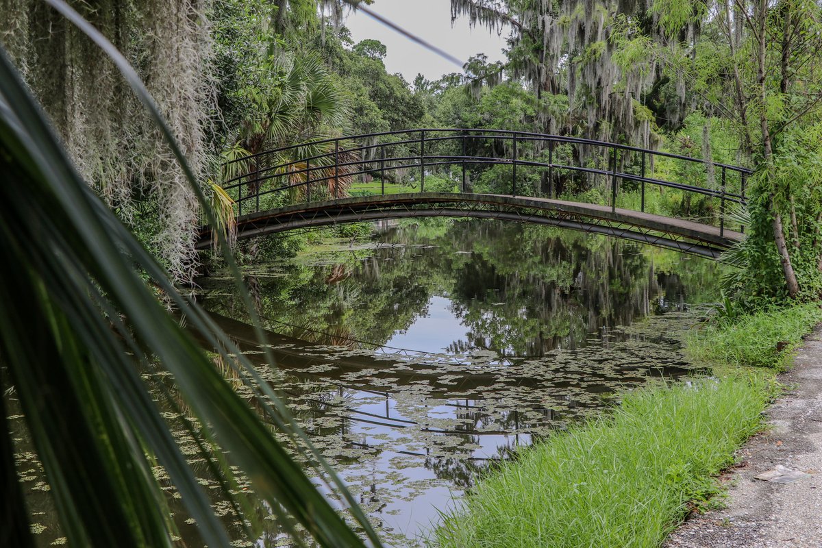tulanealumni's tweet photo. Be One with Nature

Don't let the heat deter you from enjoying the beauty of nature in New Orleans. There's always more that meets the eye. All the wonders to cherish await you at @NOLACityPark and @ExploreNOMA. 

#RollWave🌊 https://t.co/KtbBfzeMfg