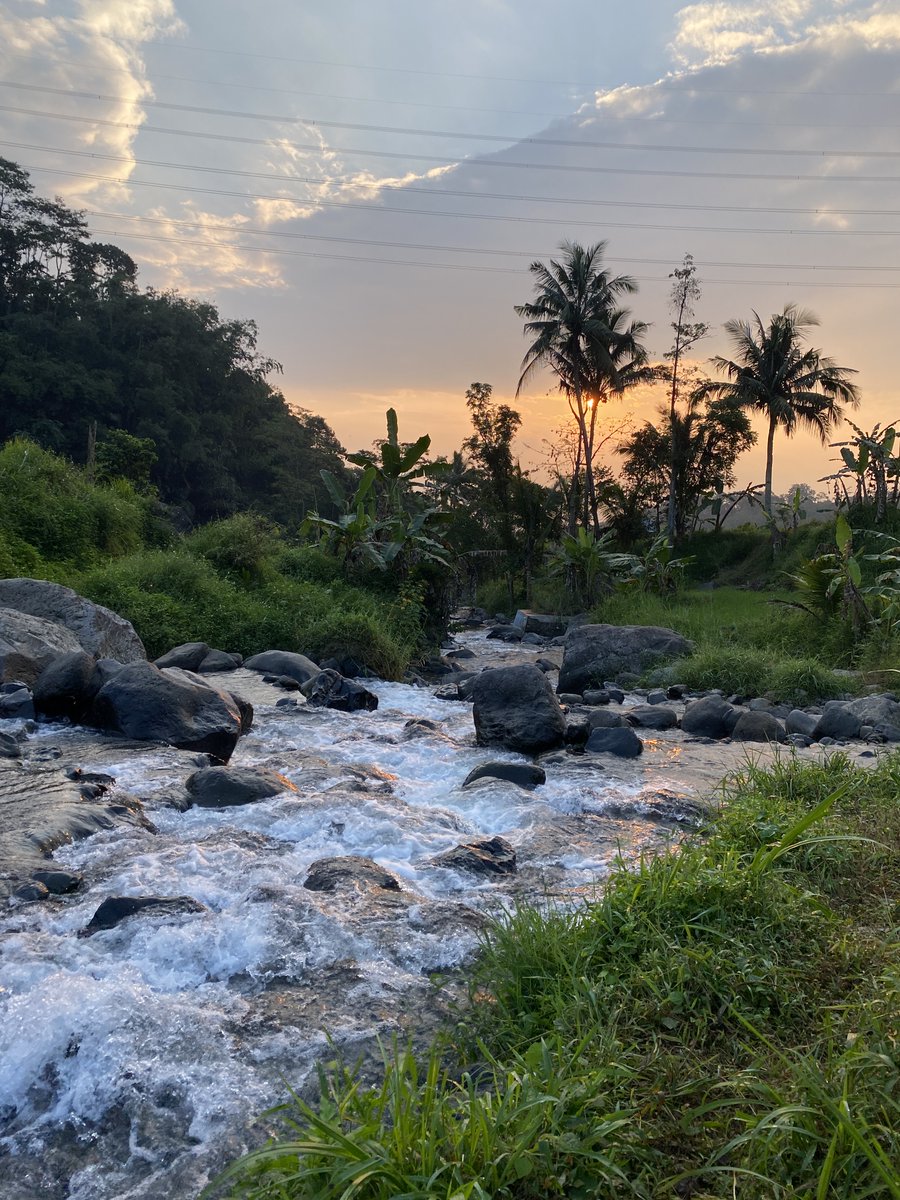 mamayukicil's tweet photo. pergi ke sungai di saat matahari mulai terbit ✨

jarak ke sungai ini cuman 5 menit aja dari rumah 🫶 https://t.co/KUoUrJ89Fo