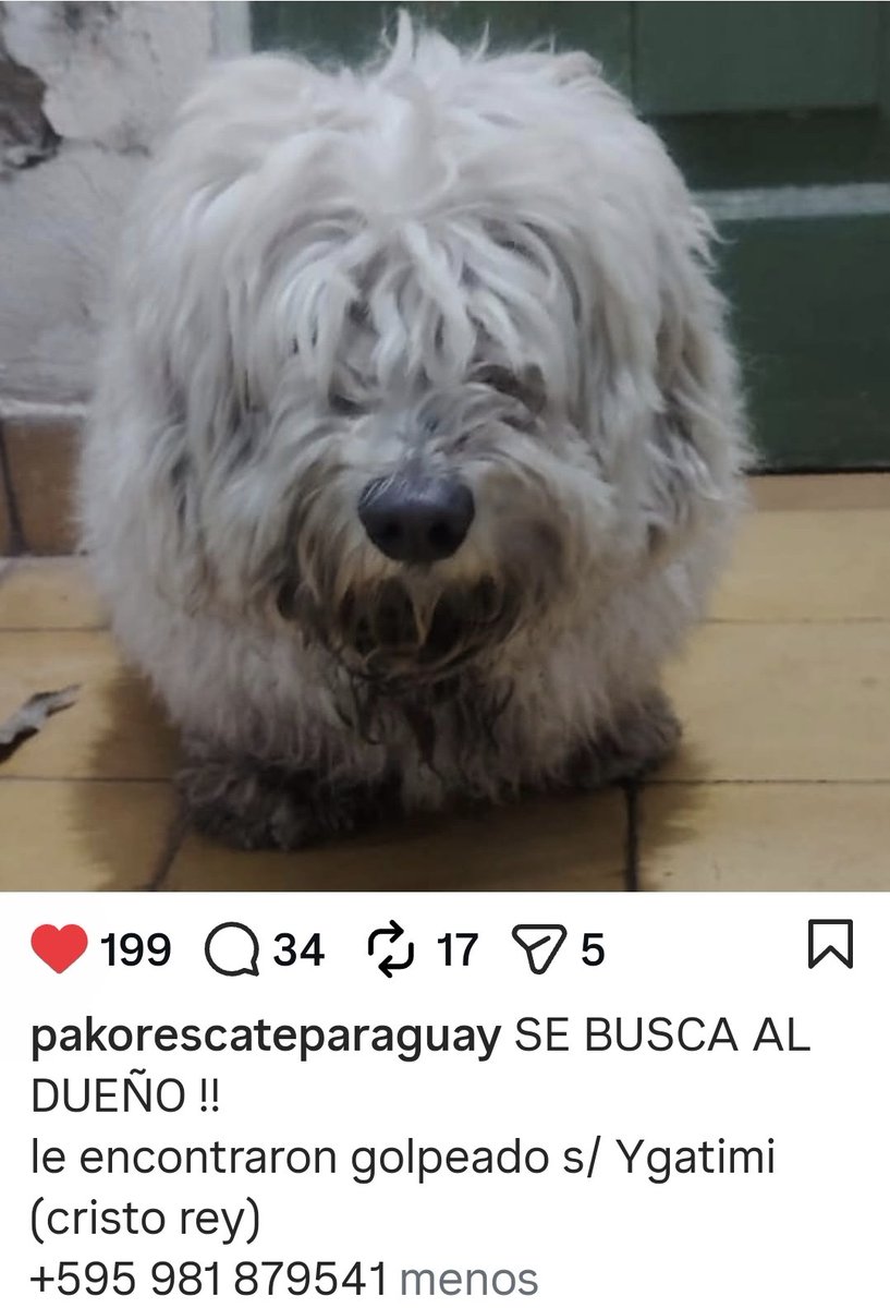mariannojeda's tweet photo. Atención zona Colegio Crito Rey, busca a su Familia.  Por favor comparti hasta que vuelva https://t.co/wOHrN70eKT
