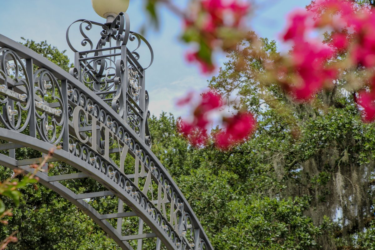 tulanealumni's tweet photo. Be One with Nature

Don't let the heat deter you from enjoying the beauty of nature in New Orleans. There's always more that meets the eye. All the wonders to cherish await you at @NOLACityPark and @ExploreNOMA. 

#RollWave🌊 https://t.co/KtbBfzeMfg