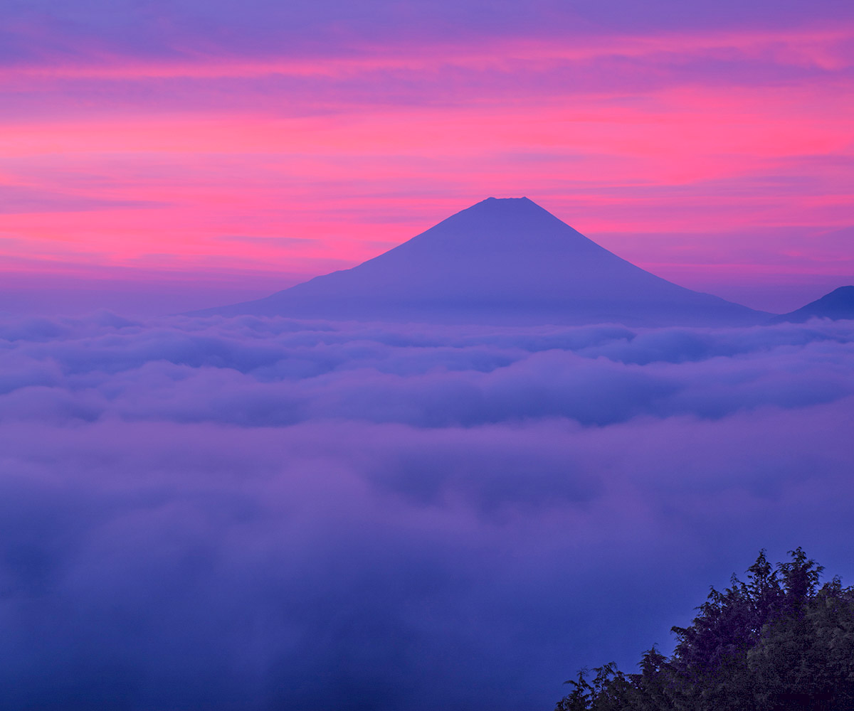 hina21no3's tweet photo. 今朝富士　7/11
雲海朝焼けに
櫛形山で撮影
#富士山　#雲海　#朝焼け https://t.co/PlStoUuLHp