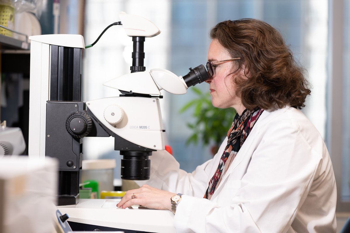 NM_ObGyn's tweet photo. In case you missed it: Francesca E. Duncan, PhD, explains how ovarian stiffness can be measured to assess ovarian aging in @Time: https://t.co/r1lzsbIedA https://t.co/DrQyZf9Z0e