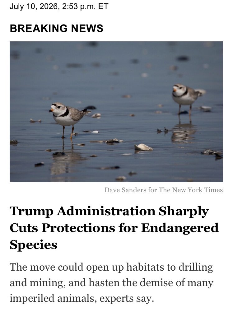 Barlofa's tweet photo. 🚨Trump, Ending Decades of Protection, Opens Wild Habitats to Drilling and Mining

The rule change ends a safeguard that had been in place for 50 years and could hasten the demise of imperiled animals.🤦🏻‍♀️

https://t.co/qIioYArckI https://t.co/fAUwuhHe4H
