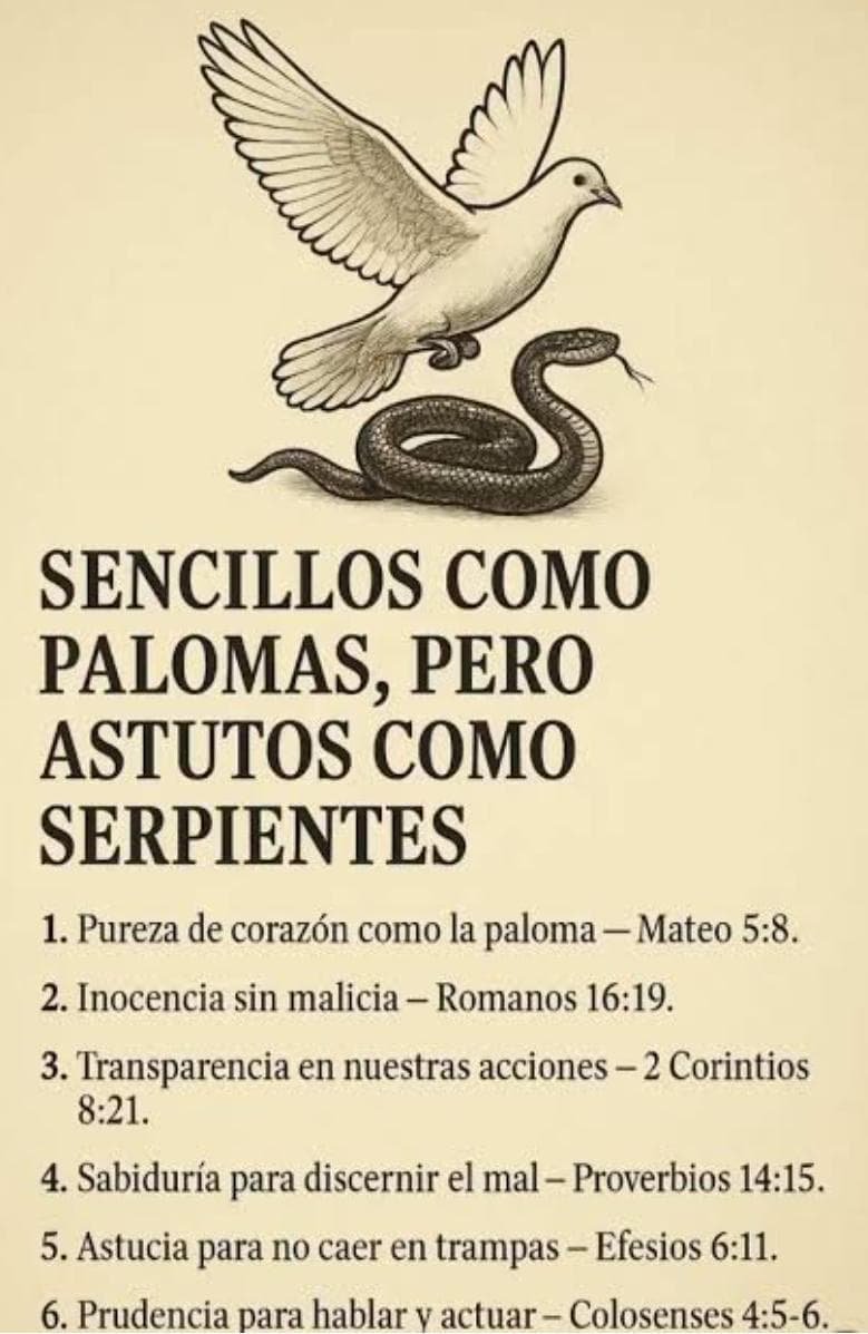 romontoyam's tweet photo. Hay que cuidar la cabeza, si la perdemos; perdemos todo! https://t.co/quM3SMAOQu