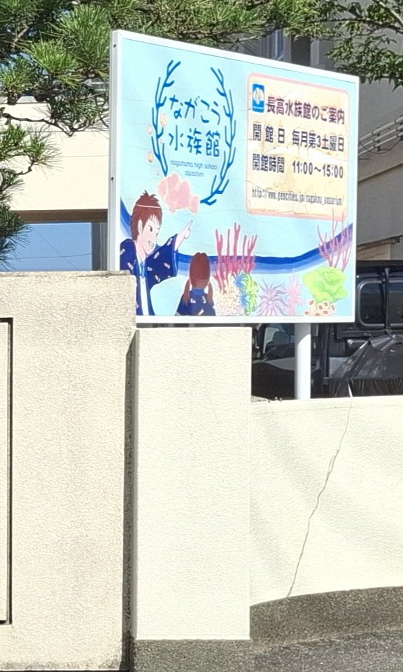 daikoushinehime's tweet photo. 毎月11日は、#伊方原発 ゲート前に集まって抗議行動がおこなわれています/今、車の乗り合わせで現地に向かっています/水族館部で有名な長浜高校をすぎると、海の向こうに3基の原発が見えてきます https://t.co/mGoCj1Tkeg