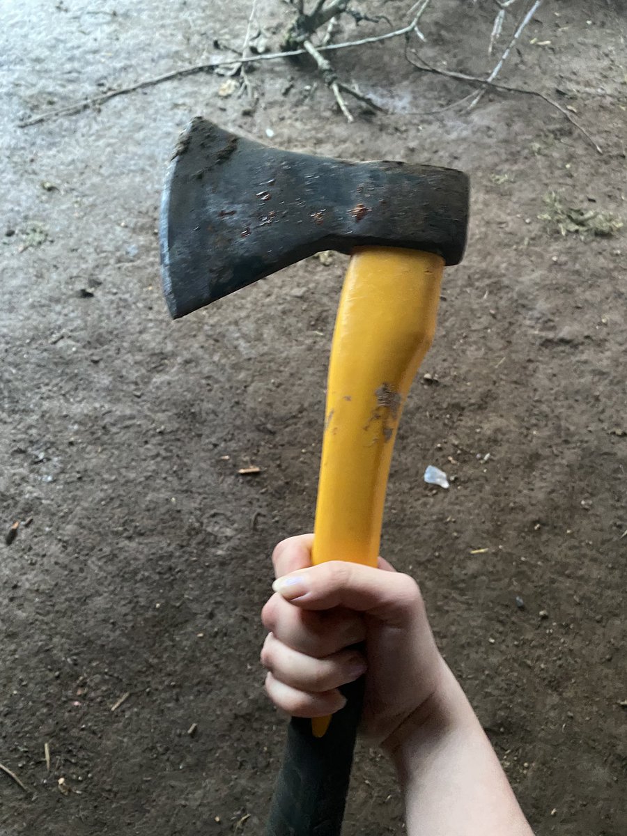 rollypolybug's tweet photo. an axe and wood is the best way to manage ur anger and plus you have wood for the fireplace wao https://t.co/7EpzV2f7KR