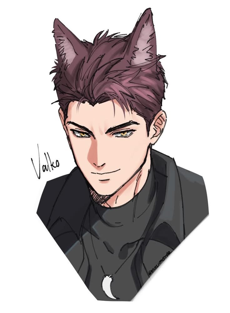 BRING BACK VALKO tweet media