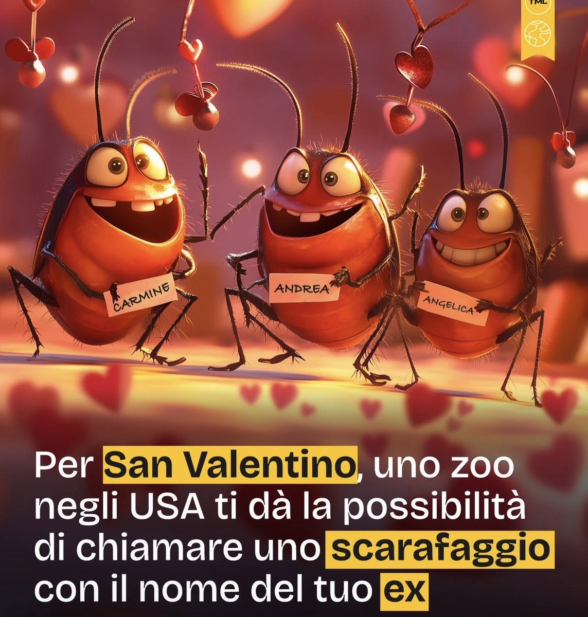 Amanda 🧲 🇮🇹 tweet media