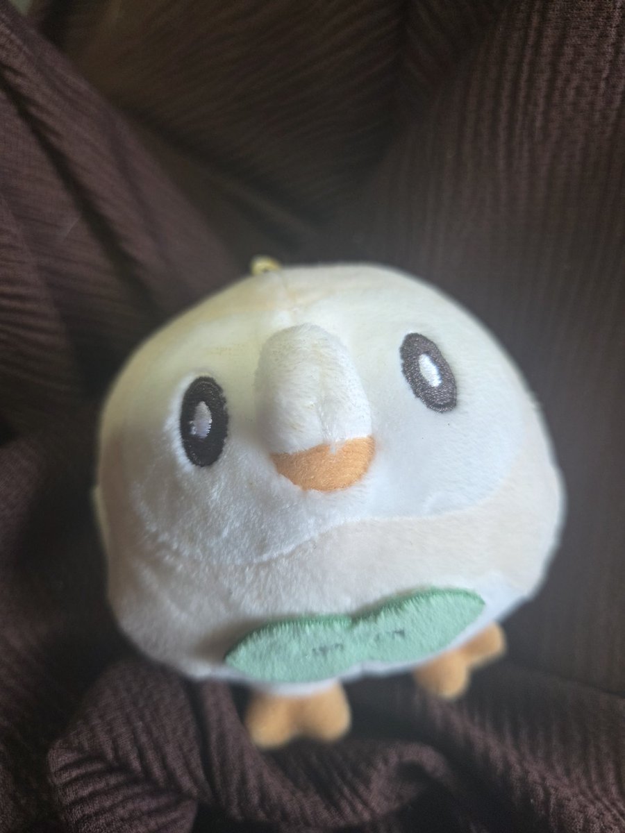 GraOnew's tweet photo. ヴェルディ戦行くから今日はモクローをお風呂入れてあげて備えよう🛁（1ヶ月先）
初の⚽️観戦だ！
今日はポケGOしに午後はちょっとお出掛けするから、ついでに⚽️観戦に必要な買い物もしようかな✨️
夜キックオフとはいえ、夏だからそれなりに暑さ対策も必須だよねぇ🤔 https://t.co/IjApBm3T0F