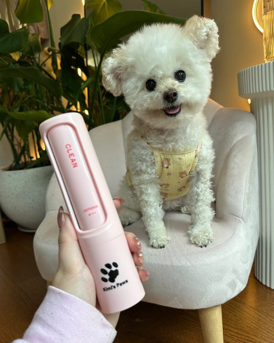 kimipawsto's tweet photo. 10% off your first order, browse options below 🐾
