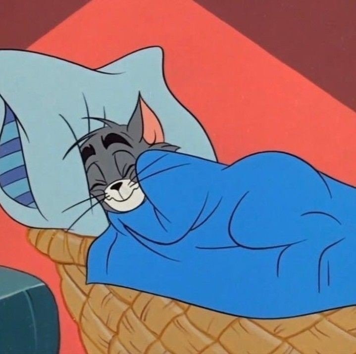 Mhe_soh's tweet photo. That one person that sets multiple alarm that wakes everyone else up but never wakes up. https://t.co/hCqhVbNS2n