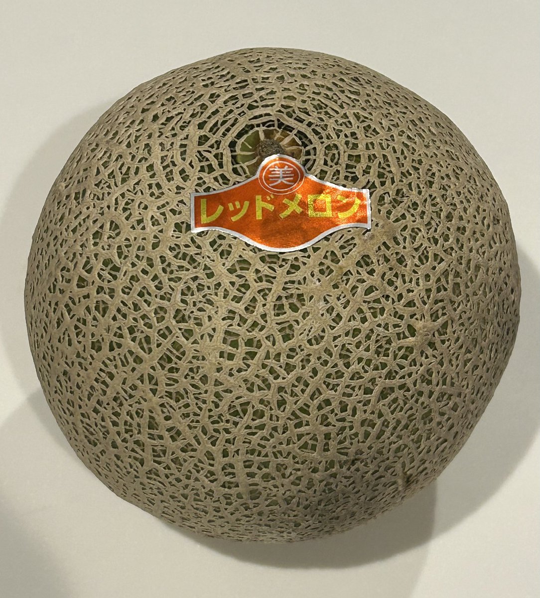 メロン② おもしろメロンシリーズ 美 レッドメロン