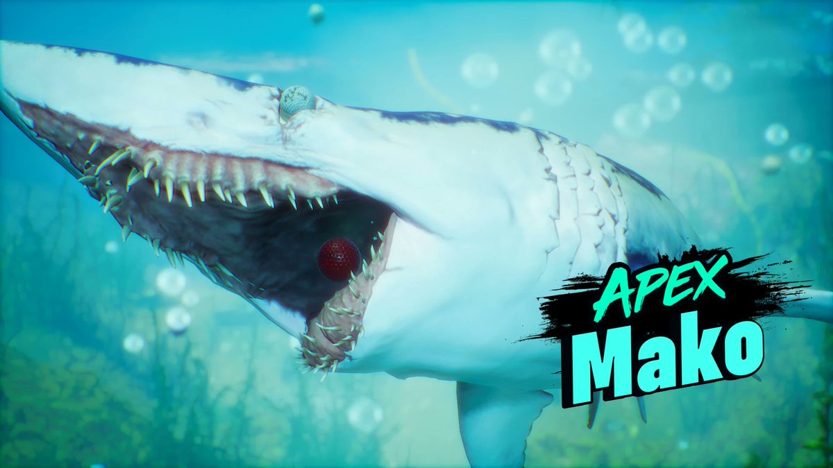 maneatergame's tweet photo. @SharkWeek We found your suspect! https://t.co/G5Fpjw8Dxp