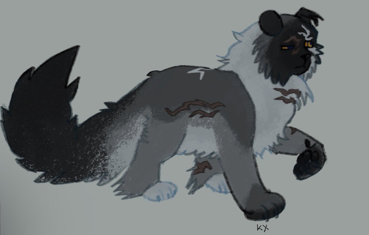 meowskiiis's tweet photo. the speaf(hollyleaf) and friends(shadowsight, frostpaw) #warriorcats https://t.co/aP48ZYVlh0