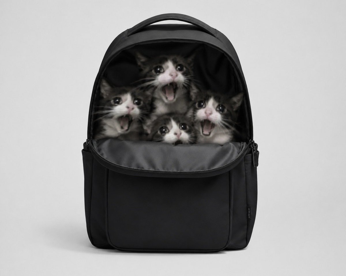 ScreamingCatPF's tweet photo. @0xCryptoshi @Kaywill16 @JakeThirteenth pack your bags. @0xCryptoshi https://t.co/b3KadKkL6n
