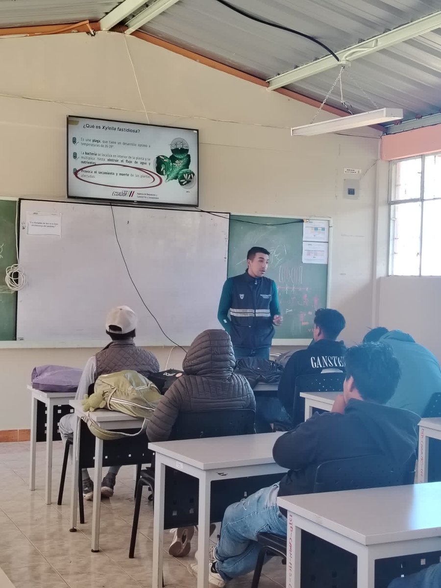 AgrocalidadZ1's tweet photo. #Carchi | 🌱 Capacitamos a estudiantes del Instituto Tecnológico Superior Alfonso Herrera sobre la sintomatología y epidemiología de Xylella fastidiosa, fortaleciendo conocimientos técnicos para contribuir a la protección del estatus fitosanitario del país. #AgrocalidadCapacita https://t.co/77MclPLKua