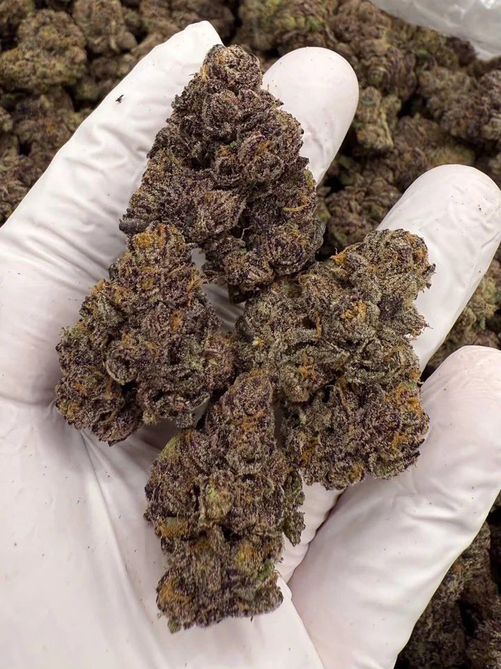 LiftedleafHQ's tweet photo. Red Hotz 🥵 https://t.co/DqrvIchKv4