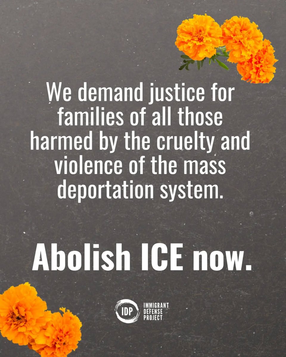 Immigrant Defense Project tweet media