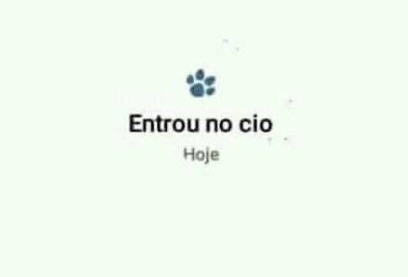 bxsenw's tweet photo. eduarda fragoso https://t.co/kG7EV45bns