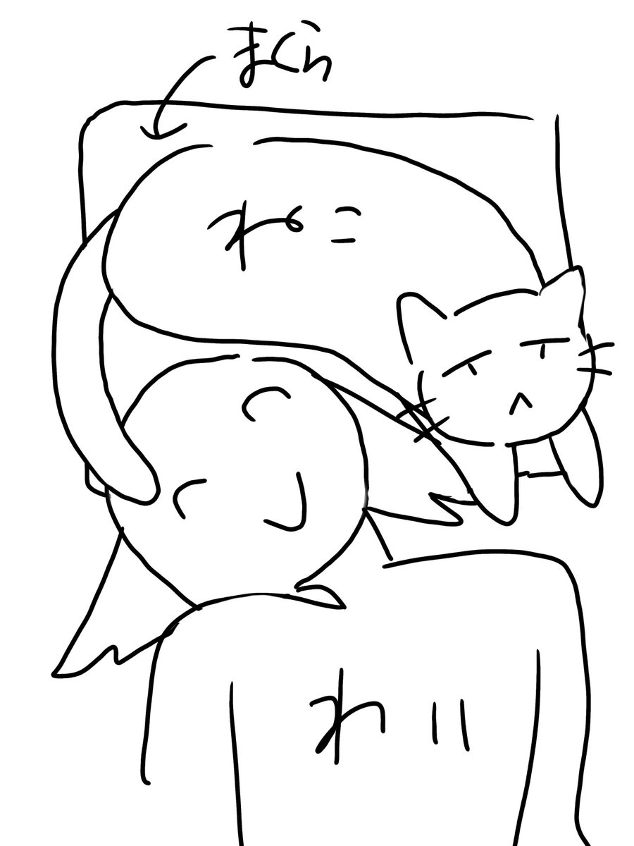 akaitomato_V's tweet photo. 今朝のねこちゃん https://t.co/0QBmkqRmHy
