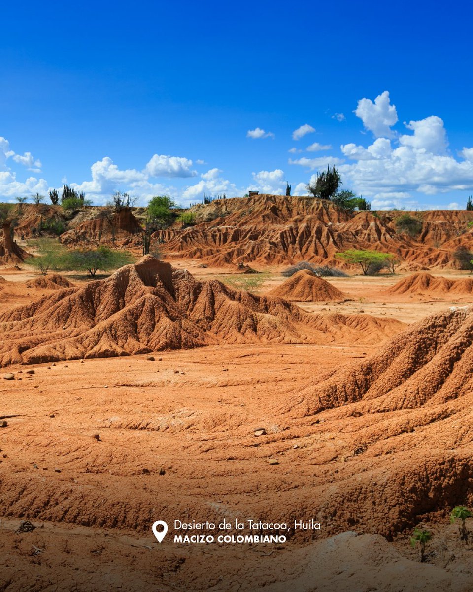 colombia_travel's tweet photo. Parece que Haaland no es el único que se está robando las miradas. ⚽🇨🇴
En #ElPaísDeLaBelleza algunos destinos también.
Descubrelos aquí: [https://t.co/SpK3tOzzPF] https://t.co/hbbZY1Ilo4