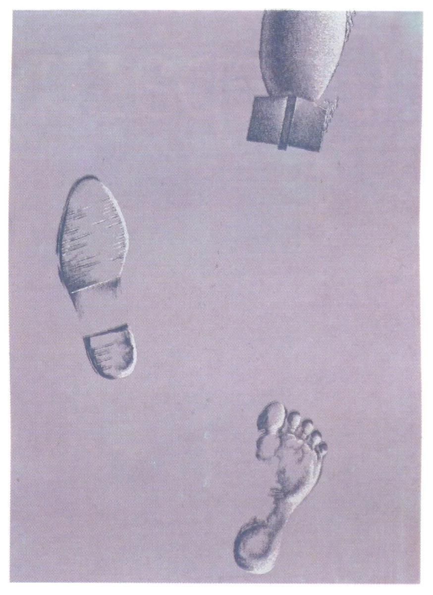 benjancewicz's tweet photo. Anthropocene, 1991 https://t.co/DCkZLGhz6I